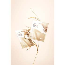 Anua hydration treatment sheet masks, two packets shown with decorative dried grass stems on a warm beige background
