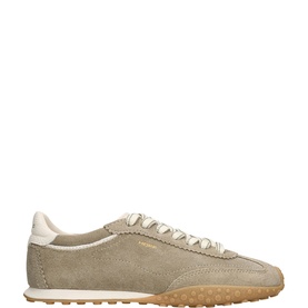 Bridge Trainers