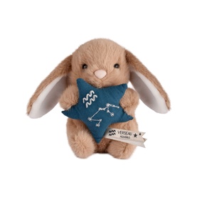 Histoire d'Ours small tan plush bunny holding a teal star cushion with Aquarius constellation embroidery and zodiac label