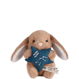 Astro Aquarius Bunny 14cm