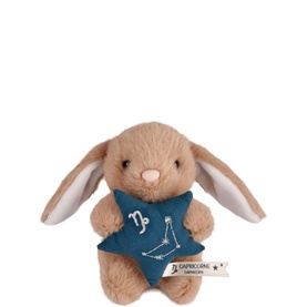 Astro Capricorn Bunny  14cm