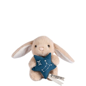 Astro Gemini Bunny  14cm
