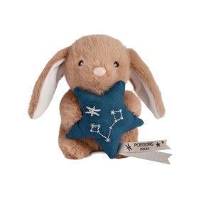 Histoire d'Ours small beige bunny plush holding a teal star cushion with Pisces constellation embroidery and star charm tag