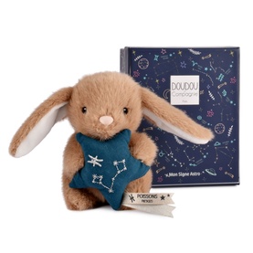 Histoire d'Ours caramel bunny plush holding a teal star, shown with navy star sign gift box, Pisces label visible