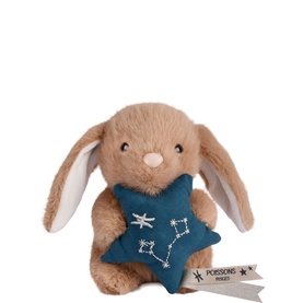 Astro Pisces Bunny  14cm