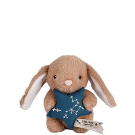 Astro Sagittarius Bunny  14cm