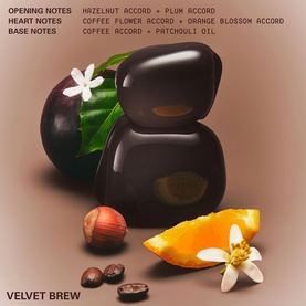 Kylie Fragrance Velvet Brew EDP with fragrance notes displayed: hazelnut, plum, coffee flower, orange blossom, patchouli oil