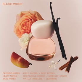 Kylie Fragrance Blush Wood EDP with roses, vanilla pods, cinnamon and peach, showing fragrance notes on pink background