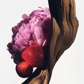 Balmain Body Spray lifestyle shot featuring a pink peony, fresh strawberries, and sculptural driftwood suggesting the fragrance notes.