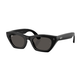 Ray-Ban Polar black cat-eye sunglasses with dark grey lenses and silver logo detail on temple