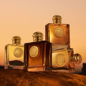 Burberry EDP fragrance collection, four amber glass bottles with gold caps and medallion detail, arranged on sun-drenched stone at golden hour