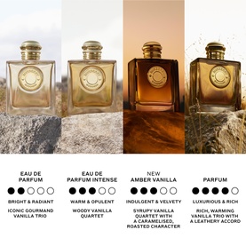 Burberry Goddess fragrance collection showing four variants: Eau de Parfum, EDP Intense, Amber Vanilla, and Parfum, each in amber glass bottles
