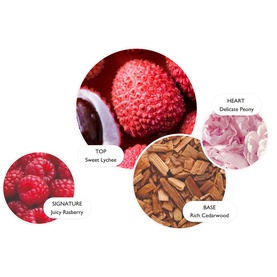 Molton Brown Delicious Rhubarb & Rose Eau de Parfum fragrance note wheel showing lychee, raspberry, peony and cedarwood accords.