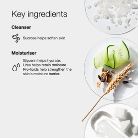 Clinique Daily Skincare & Makeup Travel Gift Set key ingredients graphic showing sucrose, glycerin, urea, and pro-lipids with cucumber and wheat