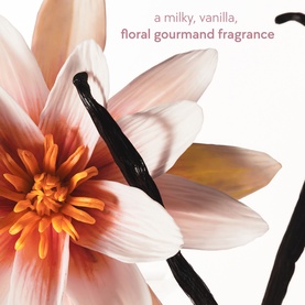 Kylie Fragrance Vanilla Dew Hair & Body Mist lifestyle shot featuring a soft pink dahlia and vanilla pods on a white background.