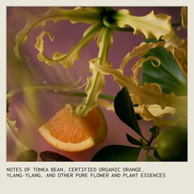 Aveda Hand Cream lifestyle shot with orange slice, ylang-ylang flowers and green leaves on mauve background