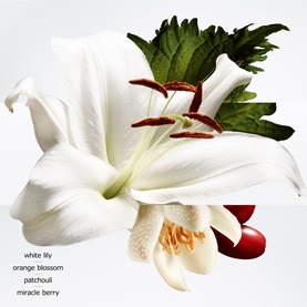 Herm&egrave;s Bar&eacute;nia Pleine Fleur Eau de Parfum Gift Set fragrance notes illustration: white lily, orange blossom, patchouli, miracle berry