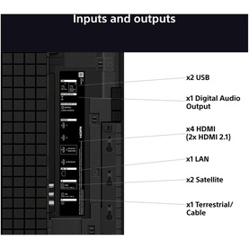 Close-up of TV rear panel showing labelled inputs and outputs: 2x USB, Digital Audio Output, 4x HDMI, LAN, 2x Satellite, Terrestrial port