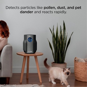 Compact dark grey air purifier on side table in living room setting with woman, cat, and plant, with text highlighting particle detection