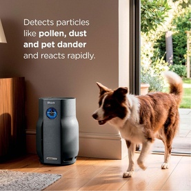Shark Breathe Clear Compact Charcoal air purifier in dark grey, shown in home setting with a dog walking nearby