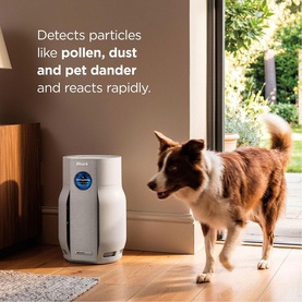Shark Breathe Clear Compact Dove air purifier in white, shown in home setting with a dog nearby, text highlighting particle detection