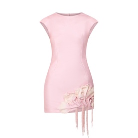 Radburn Appliqu&eacute; Mini Dress