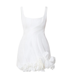 Winchester Mini Dress