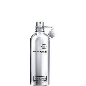 Montale Vanilla Absolu EDP 100ml in a sleek silver cylindrical bottle with branded cap and spray nozzle.