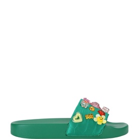 Meena Eagle Slides