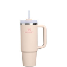 Stanley tumbler in champagne with handle, straw lid, and matte finish