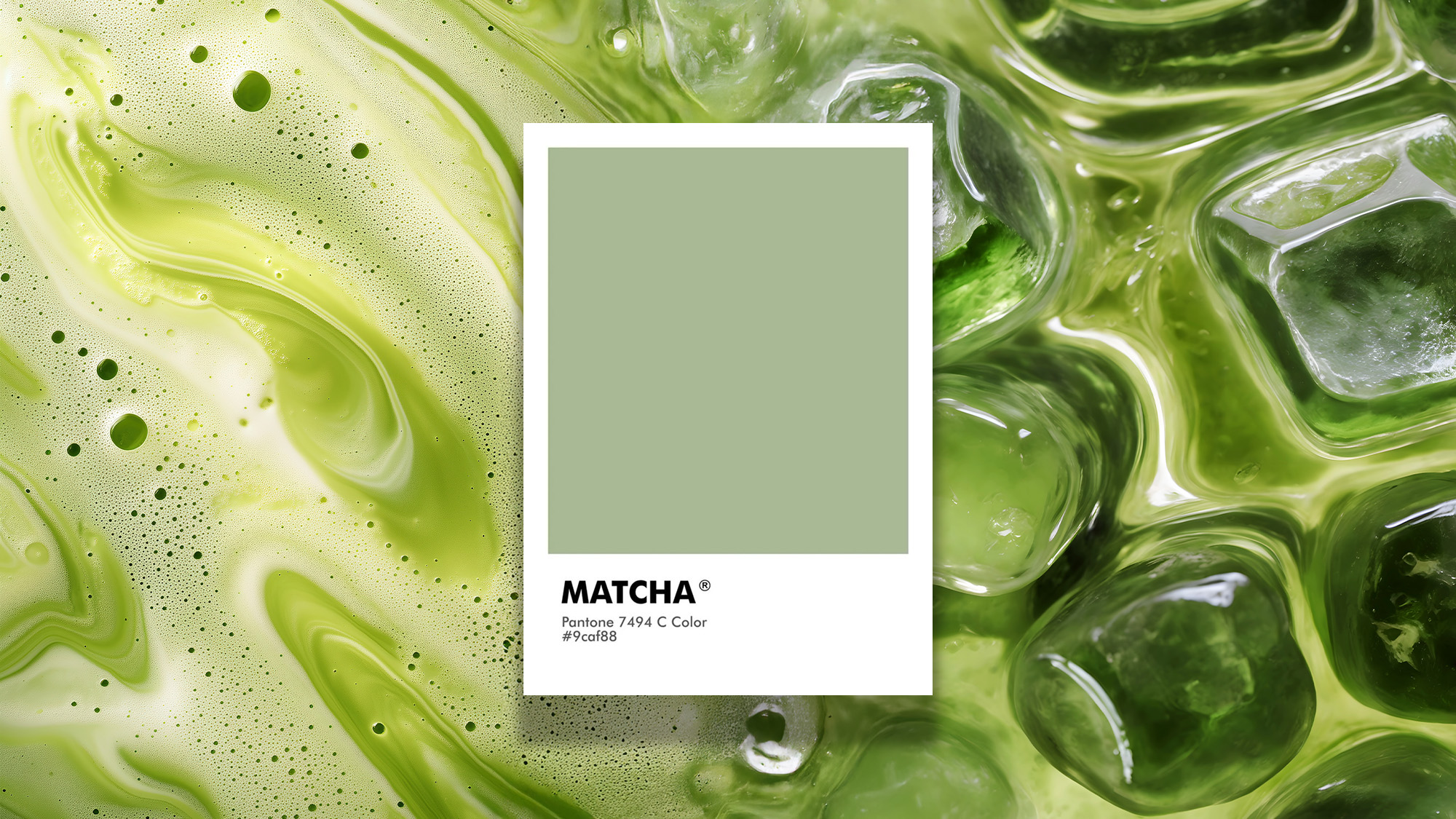 A Pantone color card labeled 'Matcha' against a textured, abstract green background.