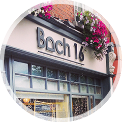 Bach 16