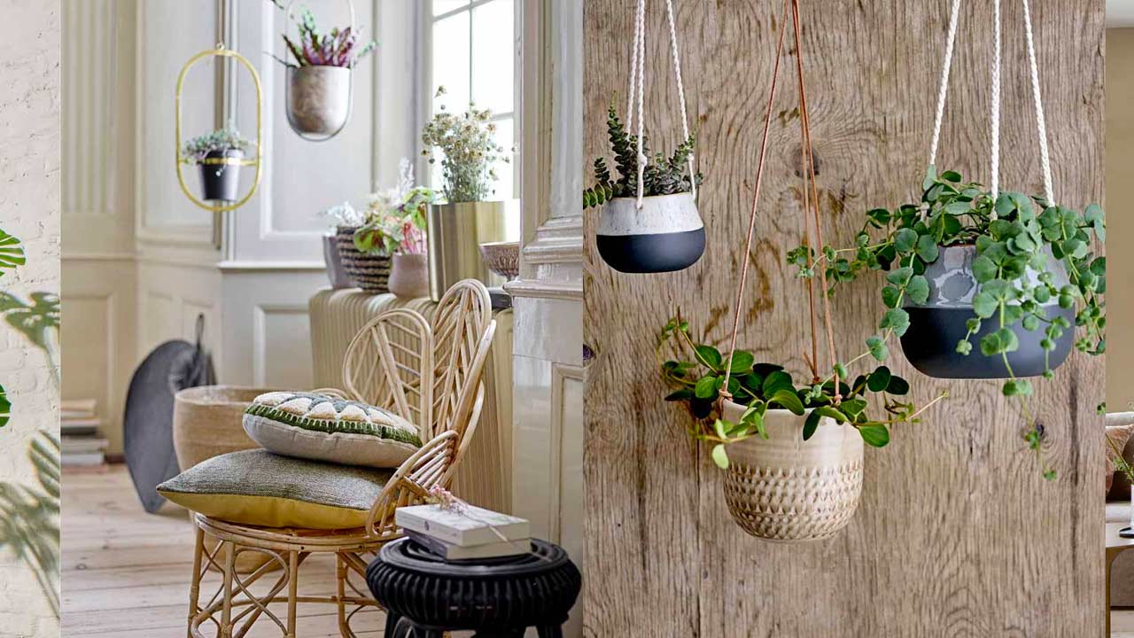 Botanicals Trend