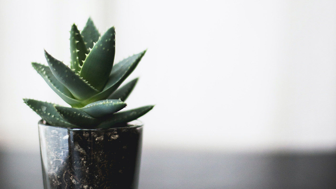 Tip 6: Ten minutes a day keeps the clutter away