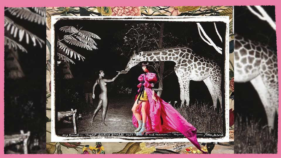 Healing properties of colour pink