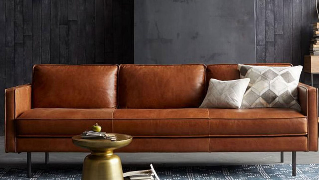 Best Sofas For dogs