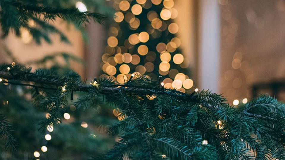 Christmas Tree With Lights On