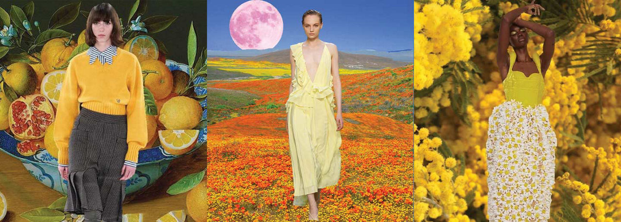 Yellow Colour Therapy